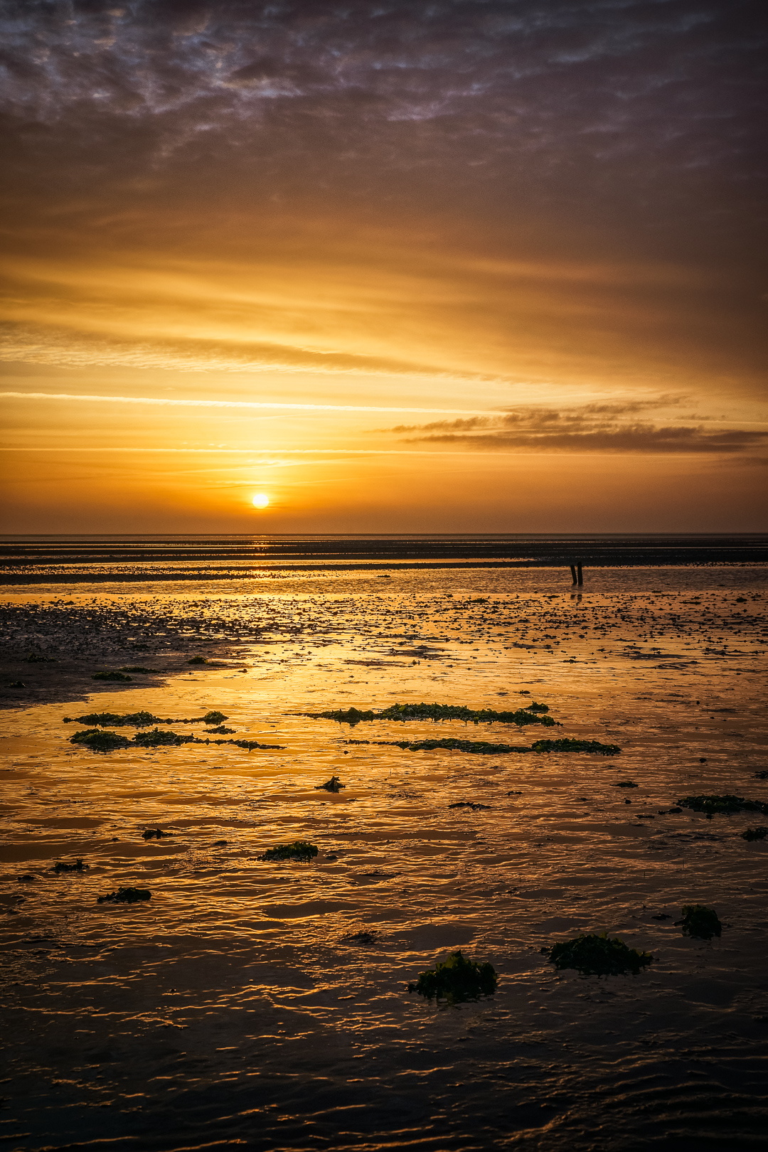 2015-9510 Golden tidewater sunrise Sylt